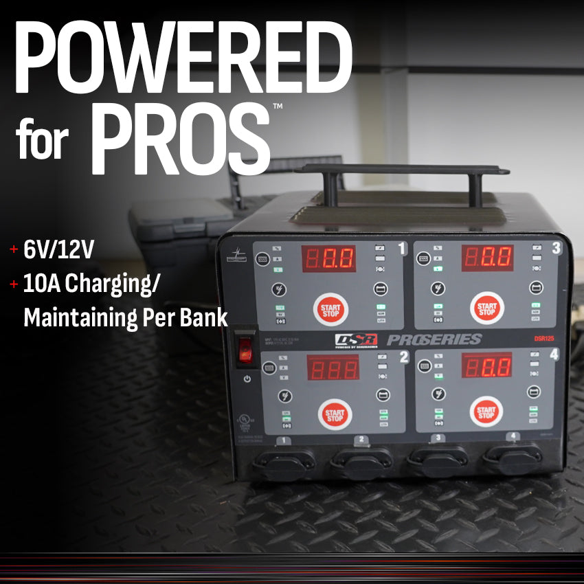 Schumacher Electric Four-Bank Automatic 10A Car Battery Charger and Maintainer, Charging Station, DSR Professional Grade, For 6V/12V Automotive and Marine Batteries, DSR125