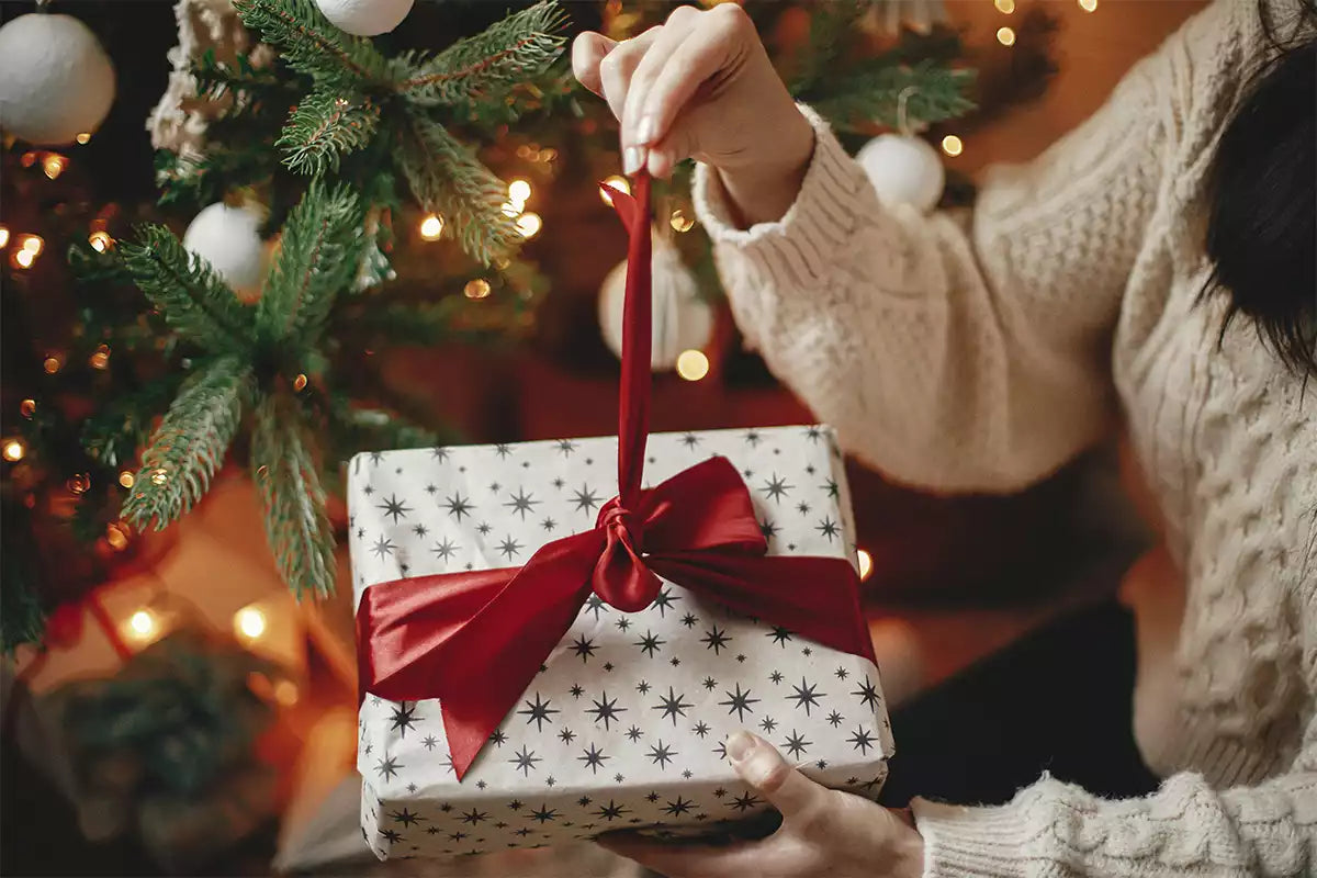 Schumacher Electric Holiday Gift Guide
